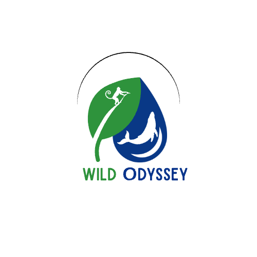 Wild Odyssey
